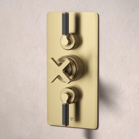 Bayor Dual Oulet Concealed Shower with Handshower Hook & 210mm Ceiling Arm with 8" Rose - Black Lever - Brushed Brass