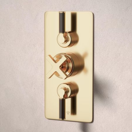 Bayor Dual Oulet Concealed Shower with Slider Rail & 500mm Wall Arm with 8" Rose - Black Lever - Living Brass