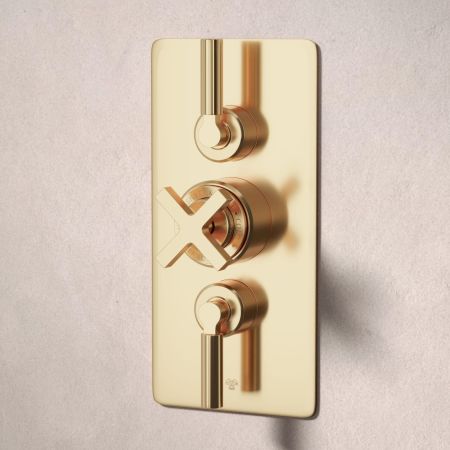 Bayor Dual Oulet Concealed Shower with Slider Rail & 500mm Wall Arm with 8" Rose - Metal Lever - Living Brass