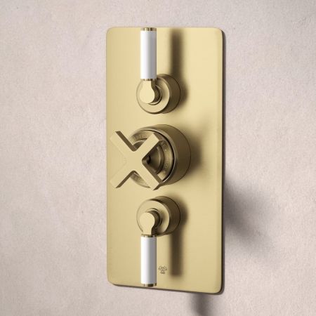 Bayor Dual Oulet Concealed Shower with Slider Rail & 500mm Wall Arm with 8" Rose - White Lever - Brushed Brass