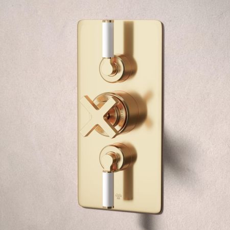 Bayor Dual Oulet Concealed Shower with Slider Rail & 500mm Wall Arm with 8" Rose - White Lever - Living Brass