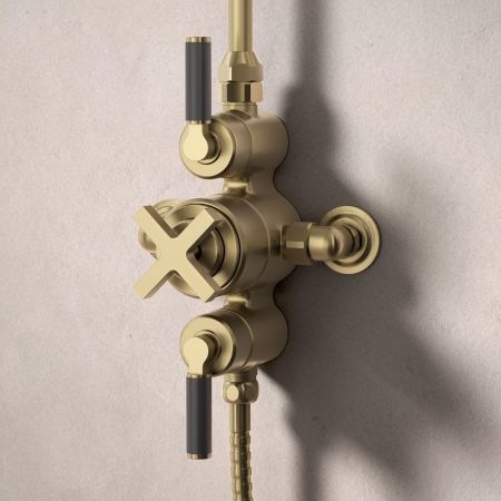 Bayor Dual Outlet Exposed Shower with Slider Rail & 8" Rose - Black Lever - Brushed Brass