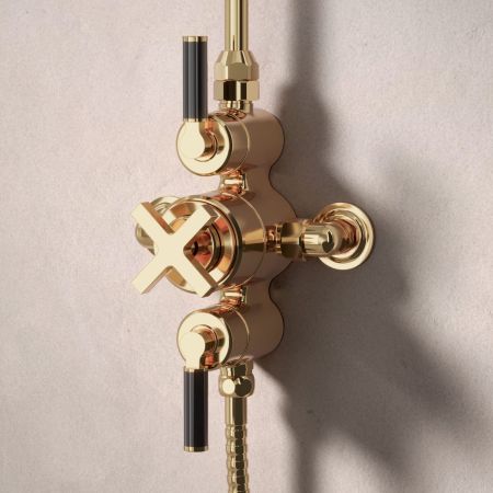 Bayor Dual Outlet Exposed Shower with Slider Rail & 8" Rose - Black Lever - Living Brass