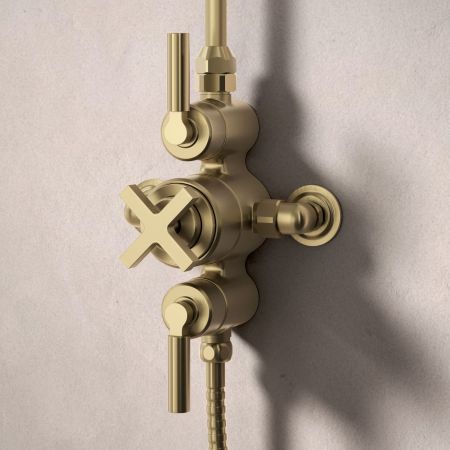 Bayor Dual Outlet Exposed Shower with Slider Rail & 8" Rose - Metal Lever - Brushed Brass