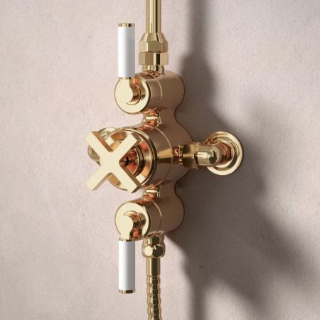 Bayor Dual Outlet Exposed Shower with Handshower Hook & 8" Rose - White Lever - Living Brass