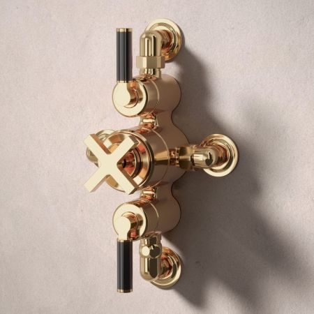 Bayor Dual Oulet Semi Exposed Shower with Slider Rail & 300mm Wall Arm with 8" Rose - Black Lever - Living Brass