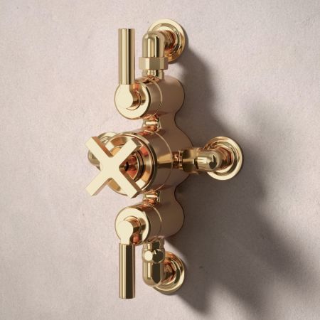 Bayor Dual Oulet Semi Exposed Shower with Slider Rail & 300mm Wall Arm with 8" Rose - Metal Lever - Living Brass