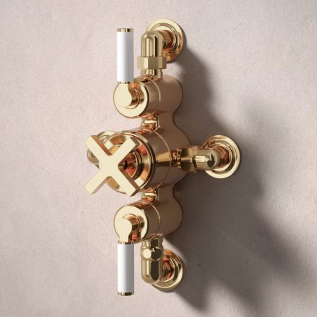 Bayor Dual Oulet Semi Exposed Shower with Slider Rail & 210mm Ceiling Arm with 8" Rose - White Lever - Living Brass