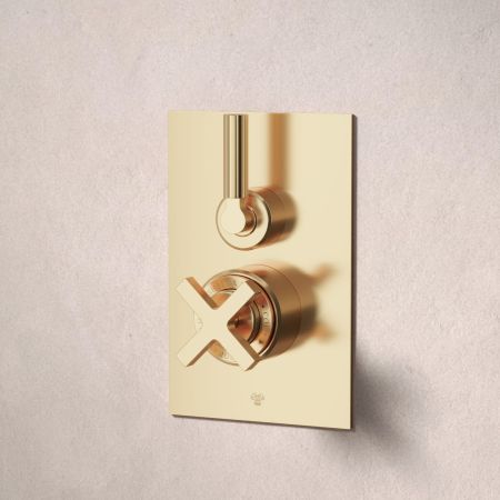 Bayor Single Outler Concealed Shower with 500mm Wall Arm & 8" Rose - Metal Lever - Living Brass