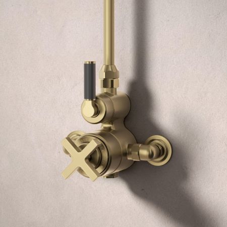 Bayor Single Outlet Exposed Shower with 8" Rose - Black Lever - Brushed Brass