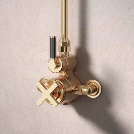 Bayor Single Outlet Exposed Shower with 8" Rose - Black Lever - Polished Brass
