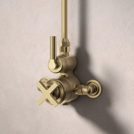 Bayor Single Outlet Exposed Shower with 8" Rose - Metal Lever - Brushed Brass