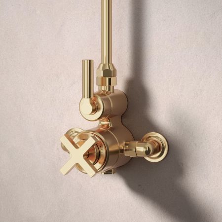 Bayor Single Outlet Exposed Shower with 8" Rose - Metal Lever - Polished Brass