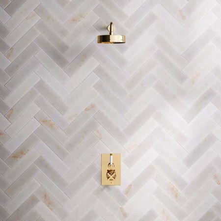 Elbe - Concealed Shower Set - White Lever - 8" Rose - Polished Brass