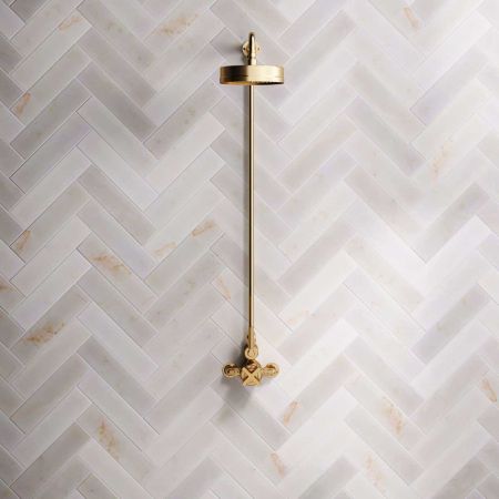 Elbe - Exposed Shower Set - Metal Lever - 8" Rose - Brushed Brass