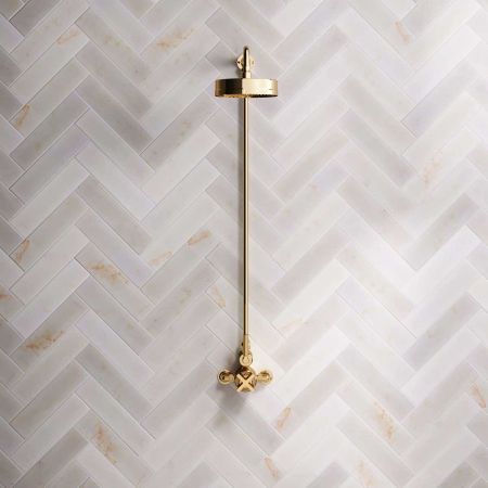 Elbe - Exposed Shower Set - Metal Lever - 8" Rose - Polished Brass