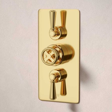 Klee Dual Outlet Concealed Shower with Hook Mount, 500mm Wall Arm & 8" Rose - Metal Lever - Living Brass