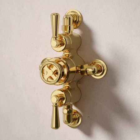 Klee Dual Outlet Semi Exposed Shower with Slider Rail, 500mm Wall Arm & 8" Rose - Metal Lever - Living Brass