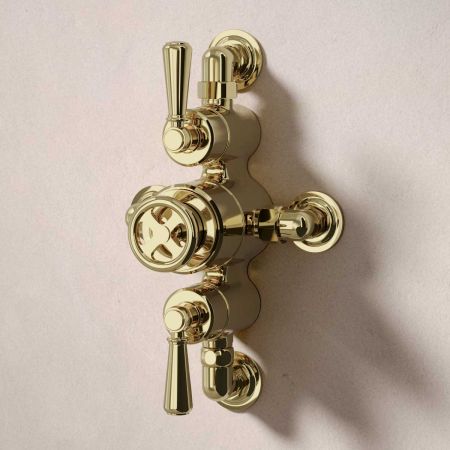 Klee Dual Outlet Semi Exposed Shower with Hook Mount, 210mm Ceiling Arm & 8" Rose - Metal Lever - Timeless Brass