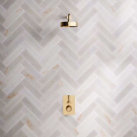 Klee Single Outlet Concealed Shower with 500mm Wall Arm & 8" Rose - Metal Lever - Living Brass