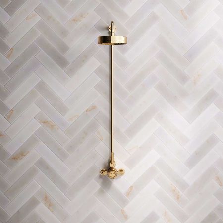 Klee Exposed Outlet Shower with 8" Rose - Metal Lever - Living Brass