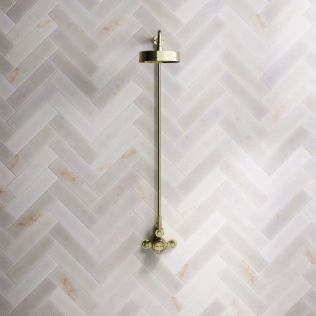 Klee Single Outlet Exposed Shower with 8" Rose - Metal Lever - Timeless Brass