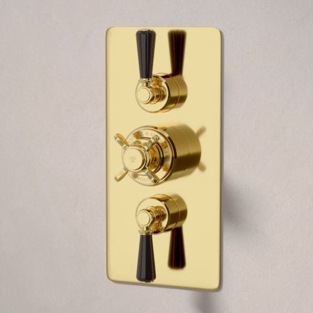 Linton Dual Outlet Concealed Shower with Slider Rail, 300mm Wall Arm & 8" Rose - Black Lever - Living Brass