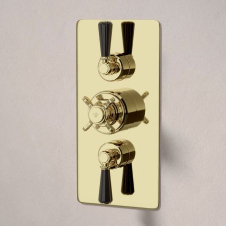 Linton Dual Outlet Concealed Shower with Handshower Hook, 300mm Wall Arm & 6" Rose - Black Lever - Timeless Brass