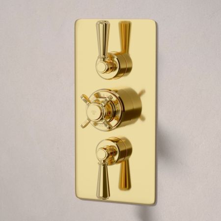 Linton Dual Outlet Concealed Shower with Handshower Hook, 210mm Ceiling Arm & 6" Rose - Metal Lever - Living Brass