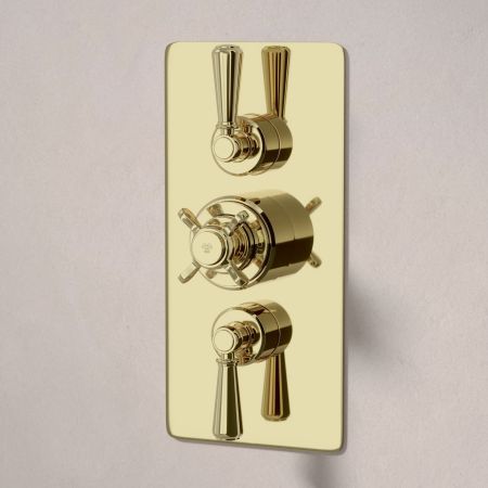 Linton Dual Outlet Concealed Shower with Handshower Hook, 210mm Ceiling Arm & 6" Rose - Metal Lever - Timeless Brass