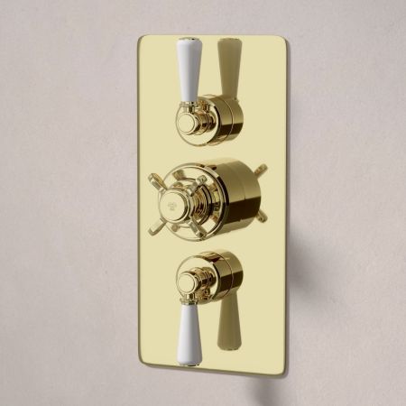 Linton Dual Outlet Concealed Shower with Handshower Hook, 300mm Wall Arm & 6" Rose - White Lever - Timeless Brass