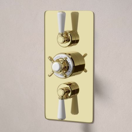 Linton Dual Outlet Concealed Shower with Slider Rail, 500mm Wall Arm & 6" Rose - White Lever & Ceramics - Timeless Brass