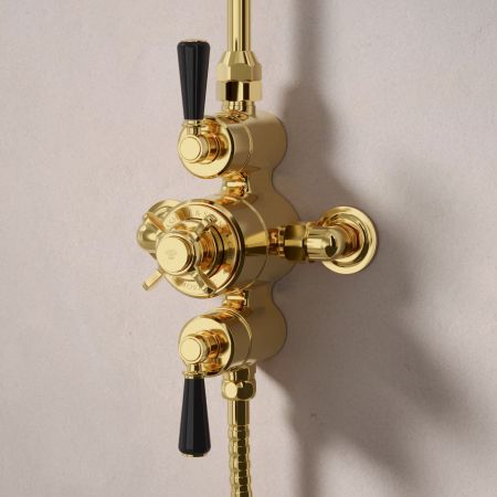 Linton Dual Outlet Exposed Shower with Riser Mounted Handshower & 6" Rose - Black Lever - Living Brass