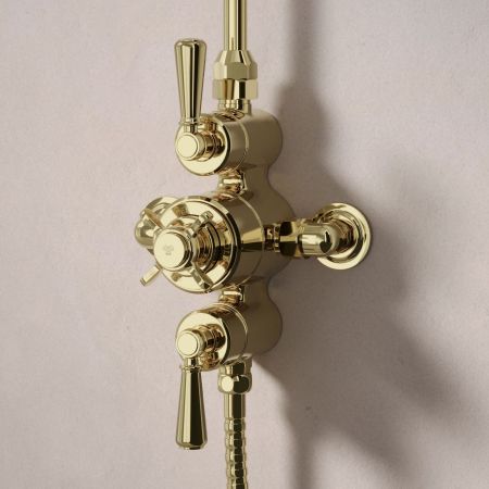 Linton Dual Outlet Exposed Shower with Riser Mounted Handshower & 6" Rose - Metal Lever - Timeless Brass