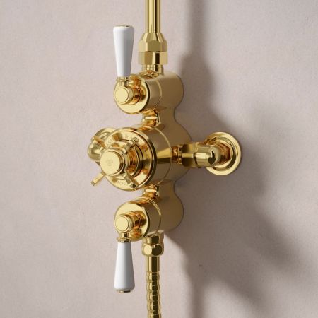 Linton Dual Outlet Exposed Shower with Riser Mounted Handshower & 6" Rose - White Lever - Living Brass
