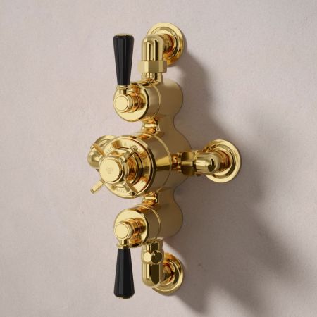 Linton Dual Outlet Semi Exposed Shower with Handshower Hook, 210mm Ceiling Arm & 6" Rose - Black Lever - Living Brass