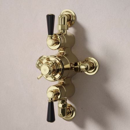 Linton Dual Outlet Semi Exposed Shower with Slider Rail, 300mm Wall Arm & 6" Rose - Black Lever - Timeless Brass