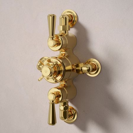 Linton Dual Outlet Semi Exposed Shower with Handshower Hook, 210mm Ceiling Arm & 6" Rose - Metal Lever - Living Brass