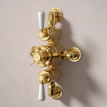 Linton Dual Outlet Semi Exposed Shower with Slider Rail, 500mm Wall Arm & 6" Rose - White Lever - Living Brass