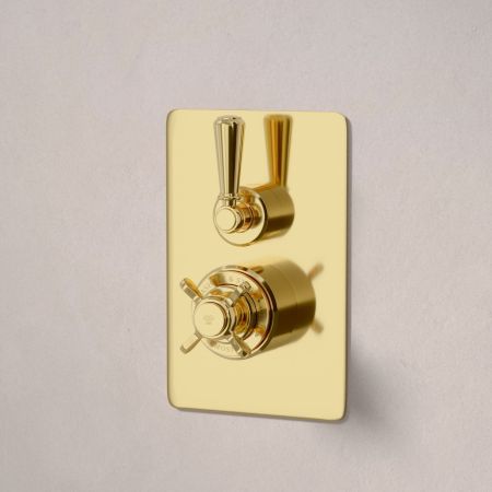 Linton Single Outlet Concealed Shower with 300mm Wall Arm & 6" Rose - Metal Lever - Living Brass