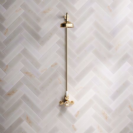 Linton Single Outlet Exposed Shower with 6" Rose & White Levers in Living Brass
