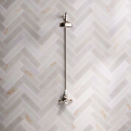 Linton Single Outlet Exposed Shower with 6" Rose & White Levers in Polished Nickel