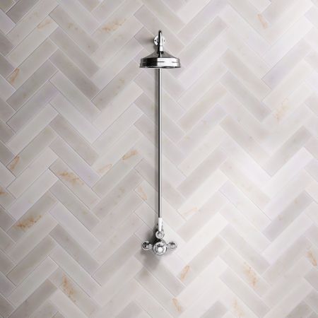 Linton Single Outlet Exposed Shower with 8" Rose & White Levers in Chrome