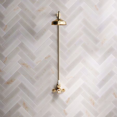 Linton Single Outlet Exposed Shower with 8" Rose & White Levers in Living Brass