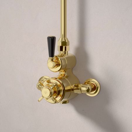 Linton Single Outlet Exposed Shower with 8" Rose - Black Lever - Living Brass