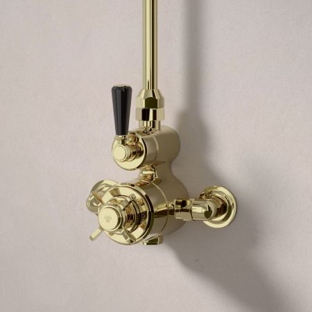 Linton Single Outlet Exposed Shower with 8" Rose - Black Lever - Timeless Brass