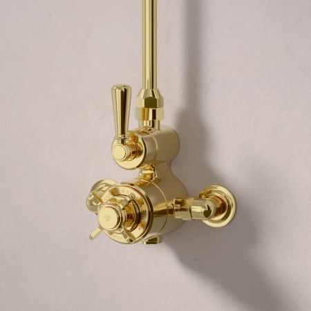 Linton Single Outlet Exposed Shower with 8" Rose - Metal Lever - Living Brass