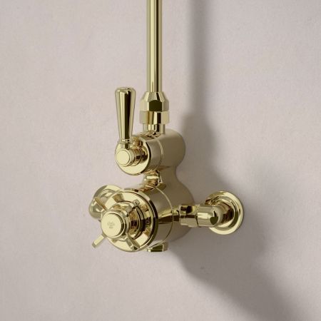 Linton Single Outlet Exposed Shower with 8" Rose - Metal Lever - Timeless Brass