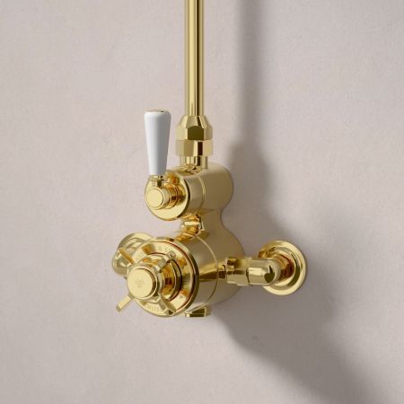 Linton Single Outlet Exposed Shower with 6" Rose - White Lever - Living Brass