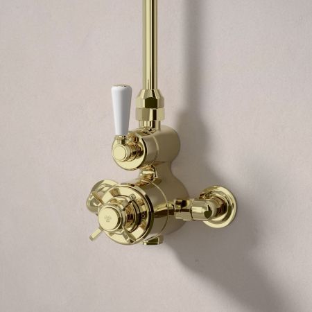 Linton Single Outlet Exposed Shower with 8" Rose - White Lever - Timeless Brass